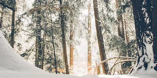 Winter Solstice Celebration