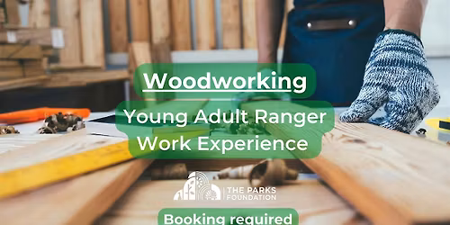 Woodworking - Young Adult Ranger Work Experience at Winton Rec