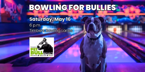 Bowling for Bullies