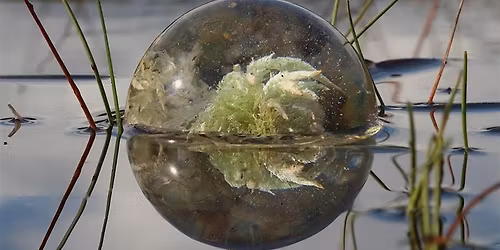 Inspirational trip - visiting Nick Jordans exhibition