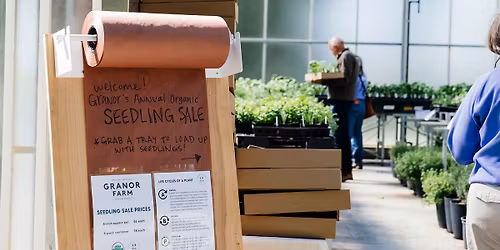 Organic Seedling Sale & Amaro Release