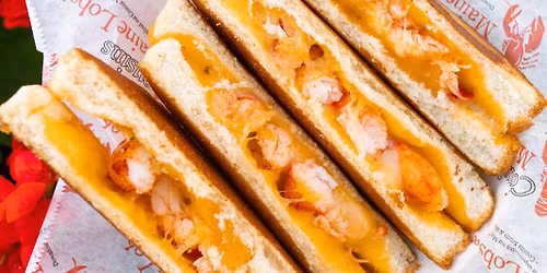 Cousins Maine Lobster at Iron Flamingo Brewery