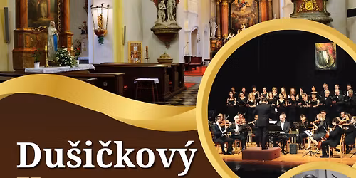 Du\u0161i\u010dkov\u00fd koncert