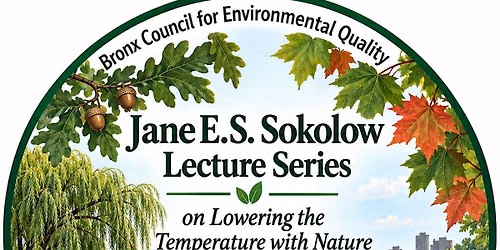 BCEQ Lowering the Temperature With Nature Mitigates Extreme Weather