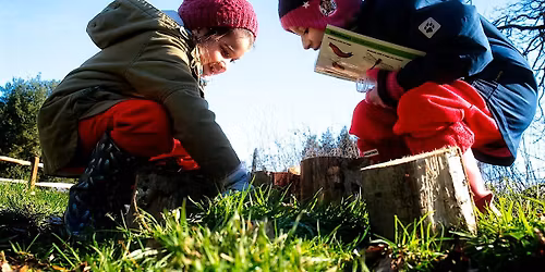 Family Trail 'Tiny Nature Detectives' - Woolley Firs, Maidenhead, Monday 16 February