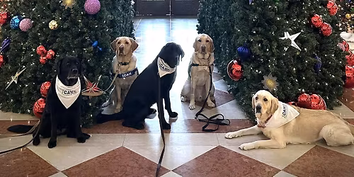 ICAN at Indiana Historical Society's Festival of Trees