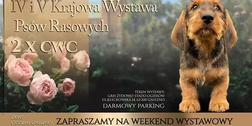 IV & V Krajowa Wystawa Ps\u00f3w Rasowych w Gnie\u017anie