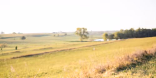 Book Reading & Signing with Local Author