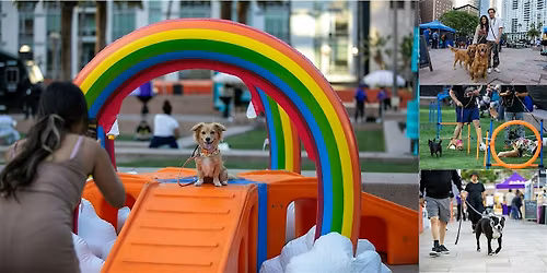 DTLA Dog Day 2026