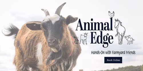 Halloween Fun at the farm