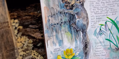 The Practice of Nature Journaling