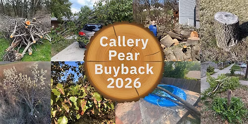 Callery Pear Buyback Event - Johnson County Residents