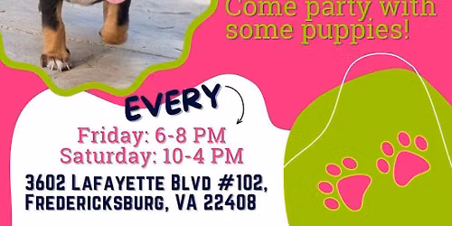 Puppy Palooza