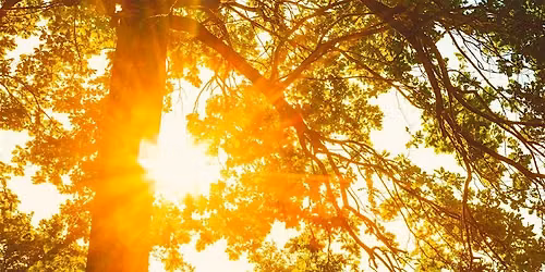 Lammas Lughnasadh Day Yoga, Cacao and Sound Healing Ceremony
