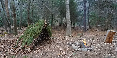 Adult Forest School at Newburn Library - 'Give it up for'