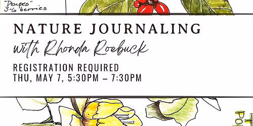 Nature Journaling with Rhonda Roebuck