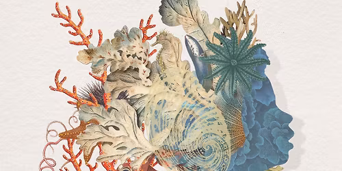 DES RIVAGES, LE SHOWCASE DE SORTIE D'ALBUM !