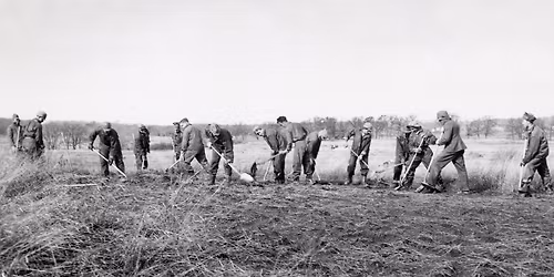Nature Walk: The CCC and the Arboretum