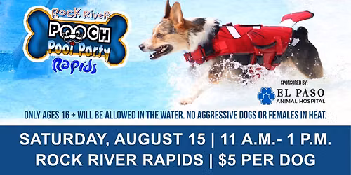 Pooch Pool Party