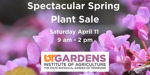 Spectacular Spring Plant Sale