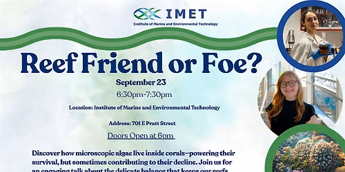 Reef Friend or Foe?