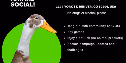 Pro-Animal Social + Potluck