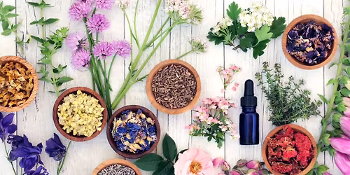 Zio\u0142a na Mazurach: Etnobotaniczny warsztat aromaterapeutyczny z Sar\u0105 Orzechowsk\u0105