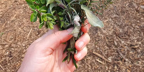 Grow Your Own Herbs Workshop
