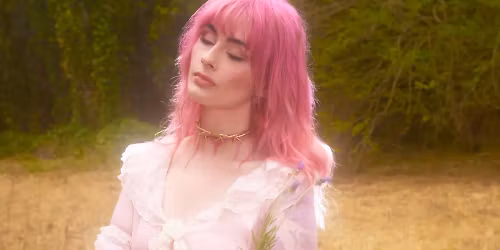 Baby Bugs in Saint Louis