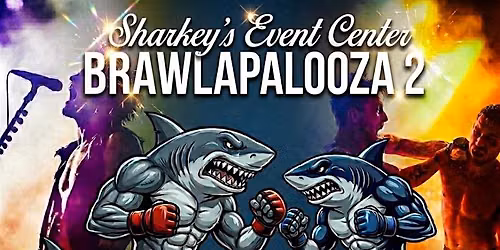 BRAWLAPALOOZA 2