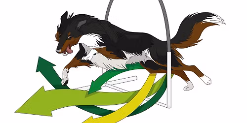 Hoopers-Seminar mit Geli & Werner Augustin