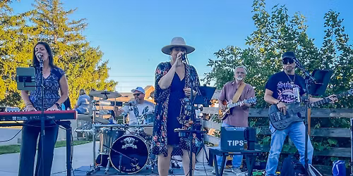 White Collar Funk at Millstream Brewing Co.