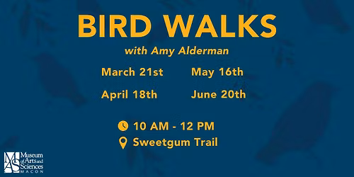 Bird Walks with Amy Alderman