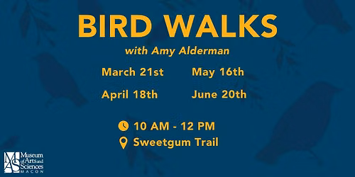 Bird Walks with Amy Alderman