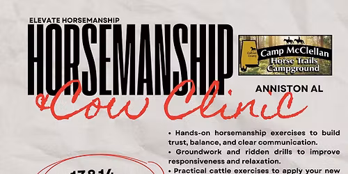 Horsemanship and cow work clinic