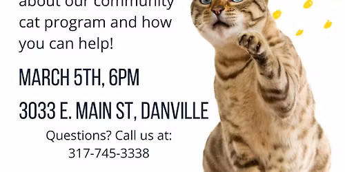 Helping Community Cats