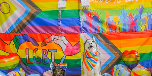 CK9 5th Annual Love is Love Puppy Pride Rainbow Parade!