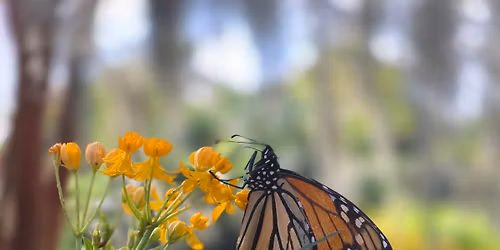 Come Home: A Winter Wellness retreat