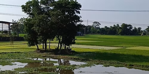 Belgium's Dubai-Bangladesh-Dubai Journey