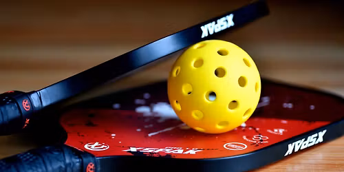 Pickleball Lessons - Beginner and Intermediate Lessons at Sauk Prairie Community Center