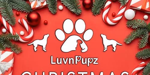 Annual Christmas Craft and Baked good fundraiser