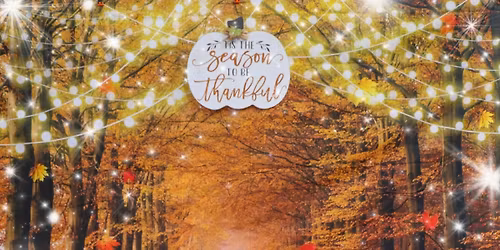 CK9 2nd Annual Thanksgiving for our furry friends Fiesta 