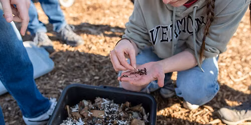 Family Vermicomposting Workshop: Build Your Own Living Compost System