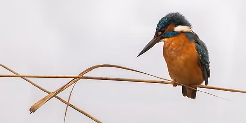 Intermediate Nature Photography Workshop