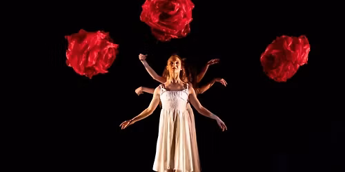 Momix - San Diego