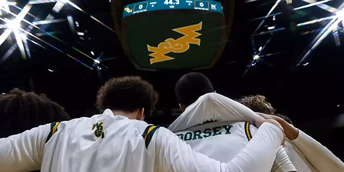 Stony Brook Seawolves at William & Mary Tribe Mens Basketball