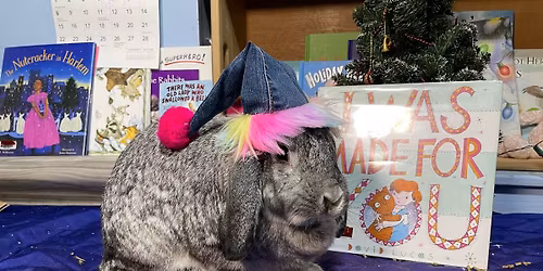 Reading with the roosters