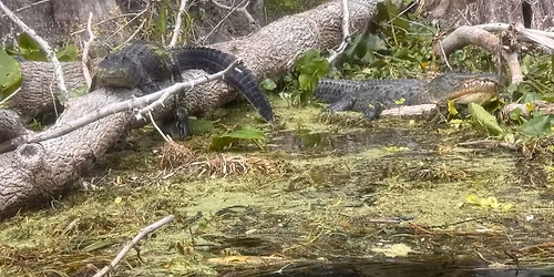 Spring Break Spring Hop 2026