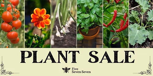 577's Annual Plant Sale: Opening Weekend 2026