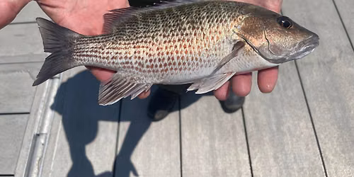 Fishing FUNdamentals